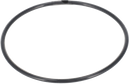 O-RING FPM/FEP