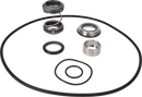 pumps-dms-sicsic-9611920552-content.webp
