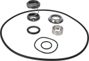 pumps-dms-sicsic-9611920554-content.webp