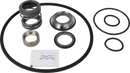 pumps-pure-uspsicsic-double-mechanical-shaft-seal-9611922345-content.webp