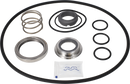 pumps-service-kit-epdm-lkh-405060-sicsic-flushed-shaft-seal-and-impeller-screw-9611922631-content.webp