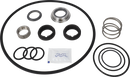 pumps-service-kit-nbr-lkh-253545-csic-double-mechanical-shaft-seal-and-impeller-screw-9611922227-.webp