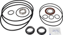 pumps-sicsic-flushed-shaft-seal-9611922664-content.webp