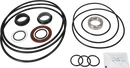 pumps-sicsic-flushed-shaft-seal-9611922666-content.webp