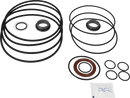 pumps-sicsic-flushed-shaft-seal-9611922671-content.webp