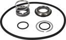 pumps-sicsic-single-shaft-seal-9611927066-content.webp