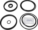 valves-service-kit-fpm-cp-3-4-valve-plug-set-up-12-9611928103-content_medium.webp